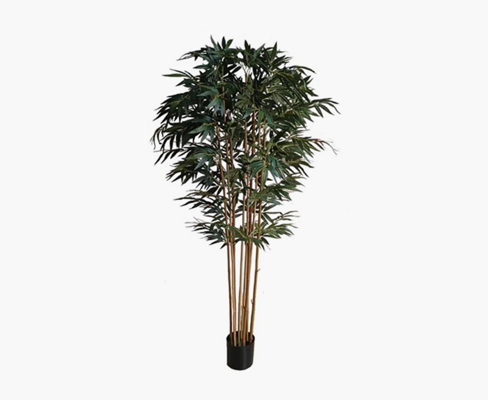 Bamboo Tree GRN/BLK H213cm