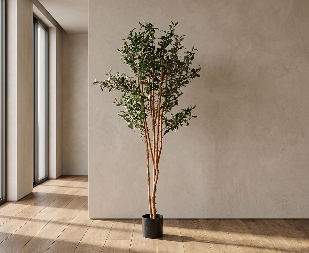 Olive Tree -183cm