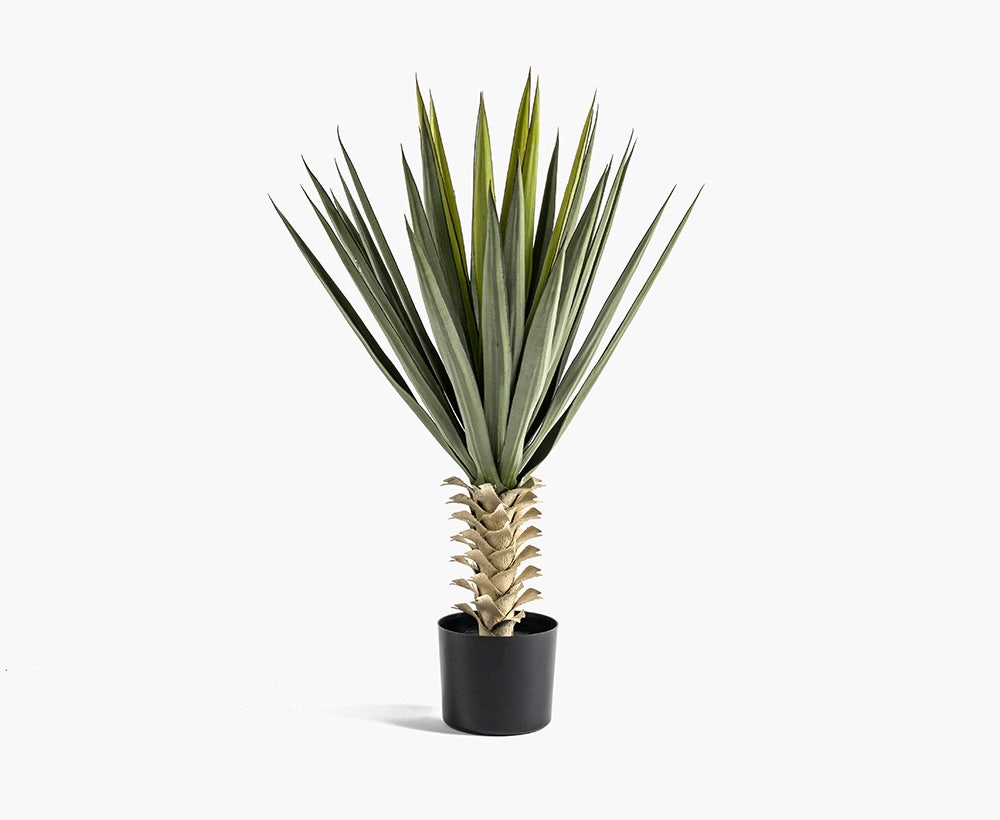 Agave Plant 65X65X95CM ~ Green