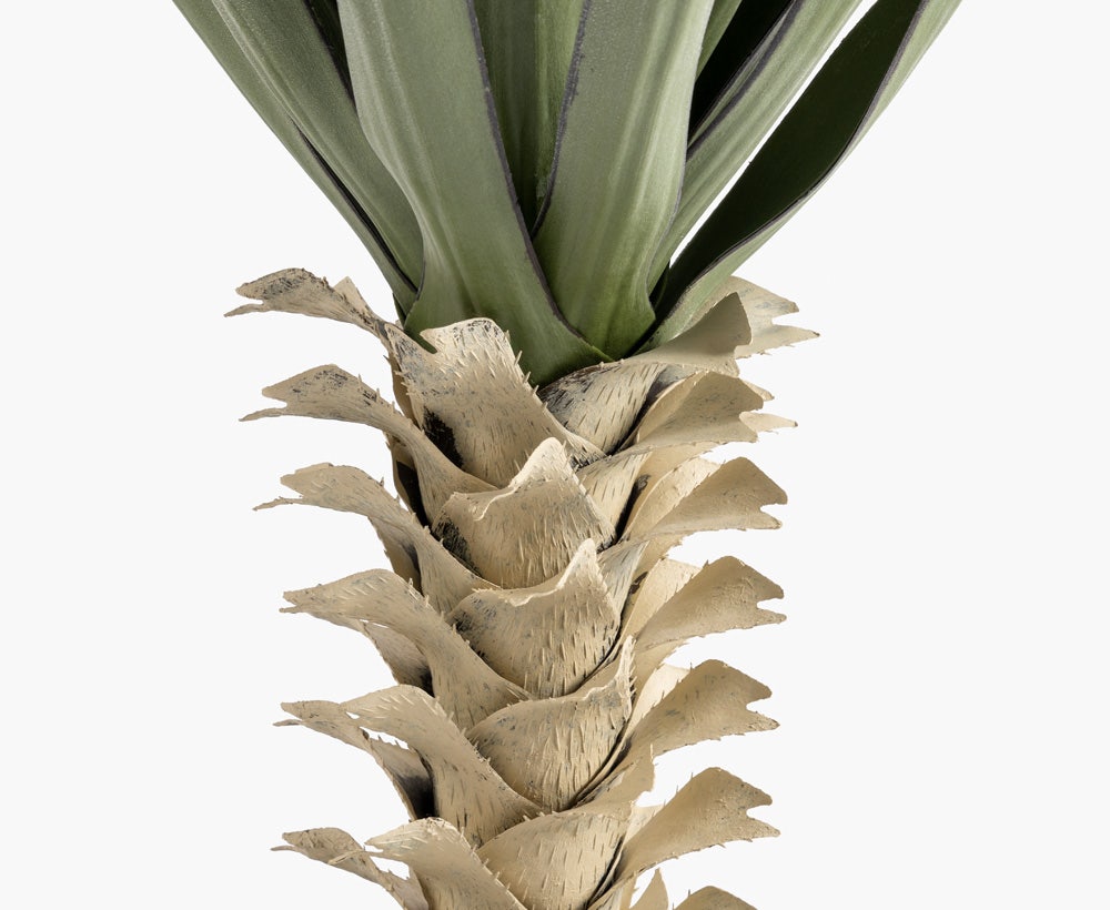 Agave Plant 65X65X95CM ~ Green