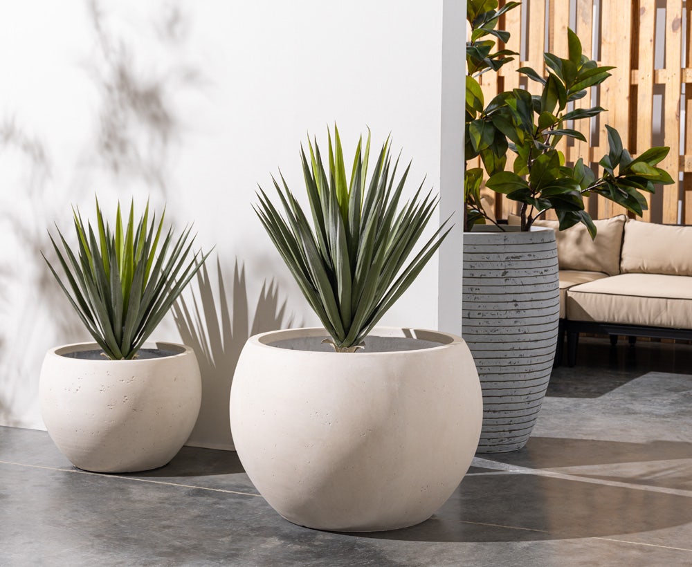 Agave Plant 82X82X115CM ~ Green