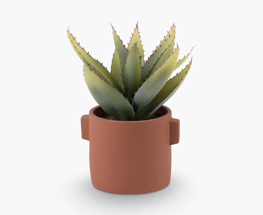Artificial Aloe Vera Plant