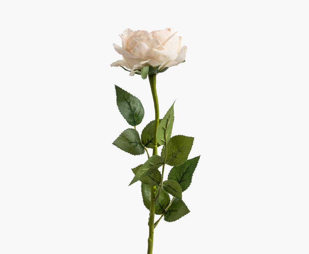 Artificial Austin Flower14X57CM Champ