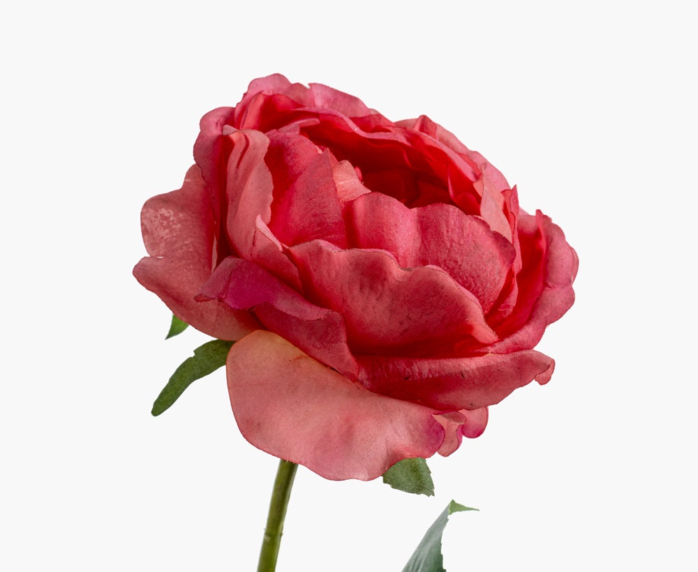 Artificial Austin Flower 14X57CM Pk