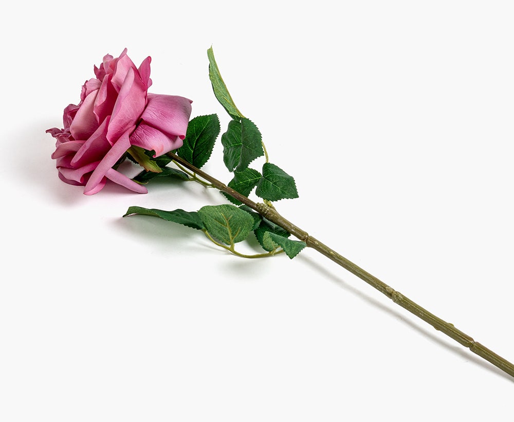 Artificial Austin Flower 14X66CM Pur