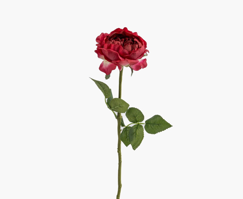 Artificial Austin Flower 14X57CM Red B