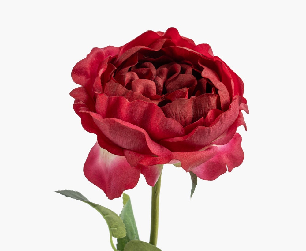 Artificial Austin Flower 14X57CM Red B