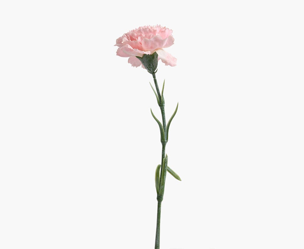 Artificial Carnation Flower 8X50CM Pk-A