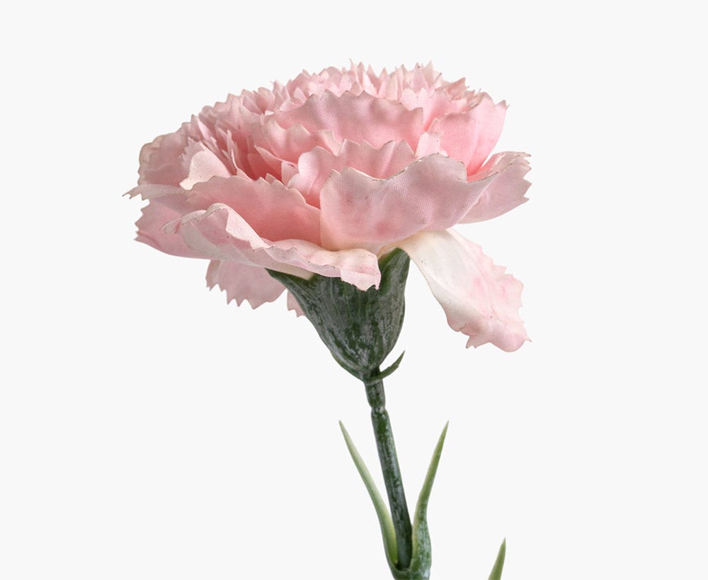 Artificial Carnation Flower 8X50CM Pk-A
