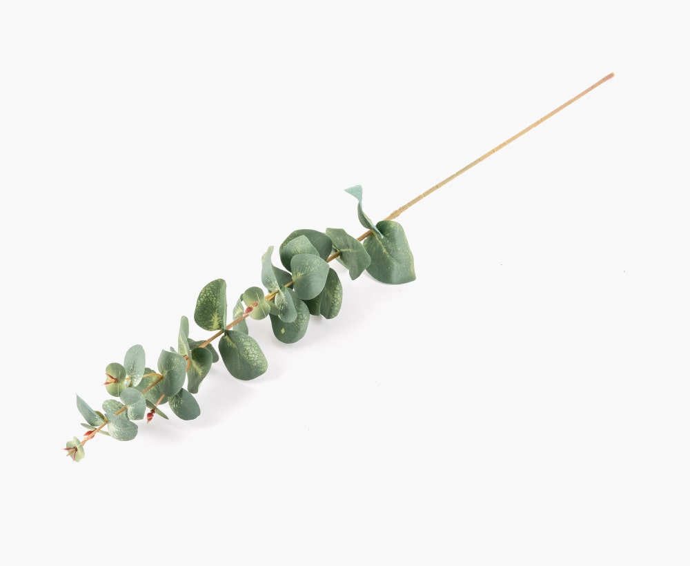 Artificial Eucalyptus