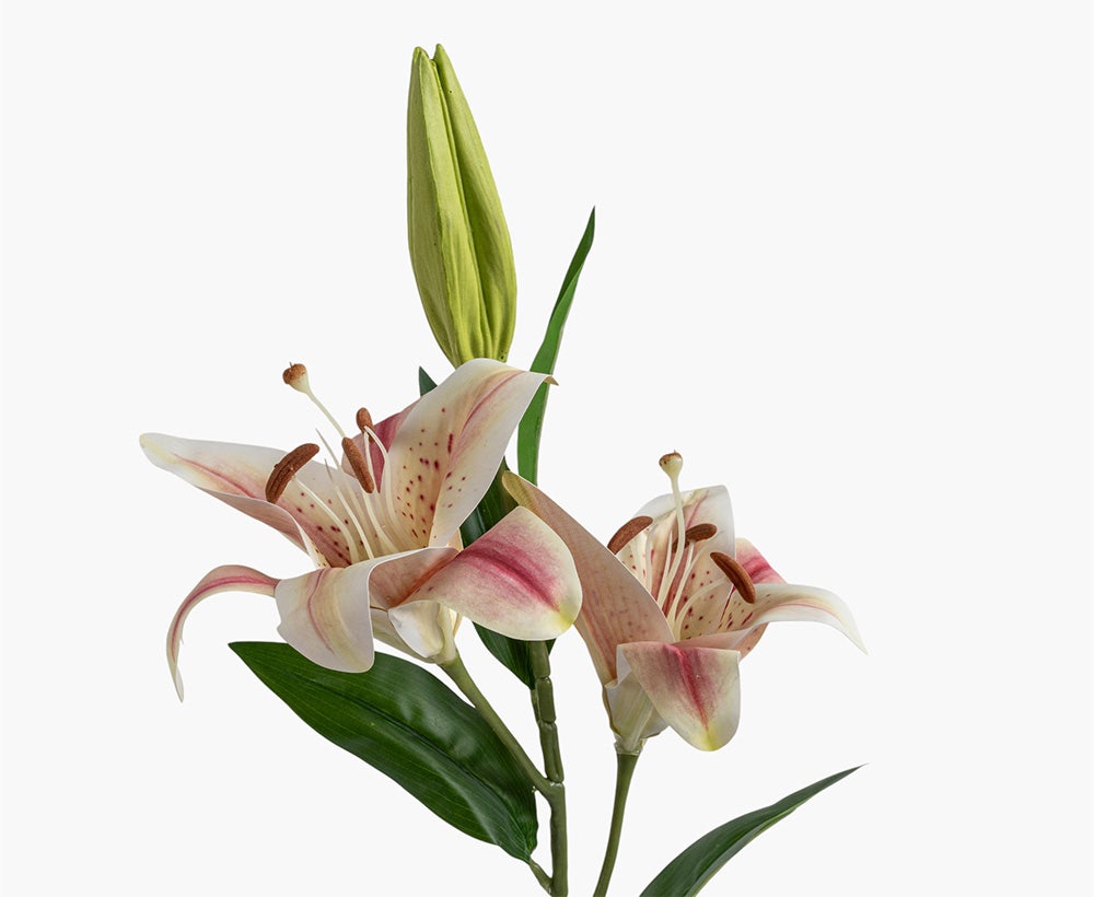Artificial Lily Flower 18X88CM ~Pk