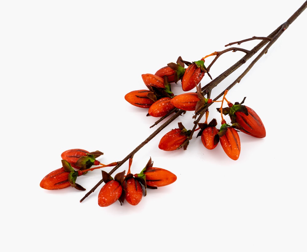 Longevity Fruit Spray Flowers