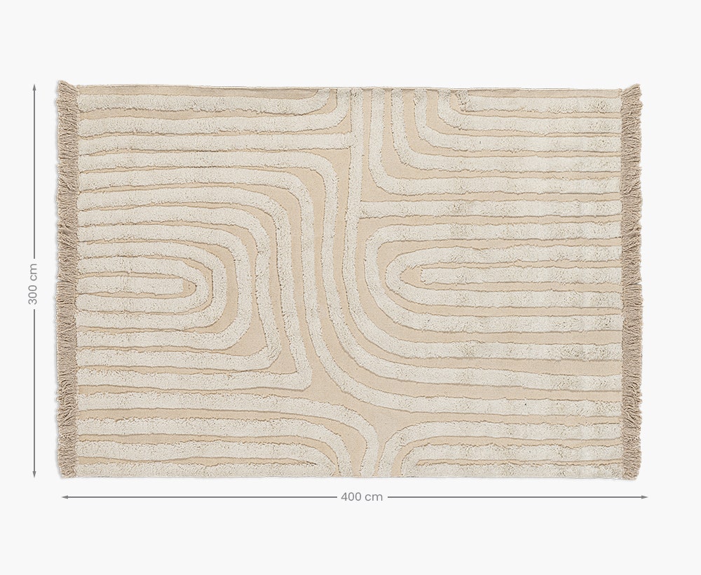 Hand Woven Carpet 300x400 BG-829