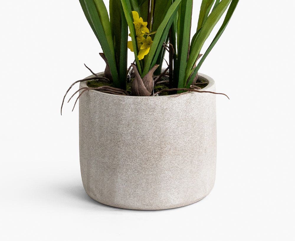 Oncidium Arrangement 49X100CM~Yl/Gry