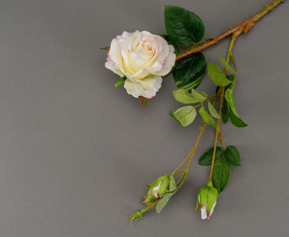 Cream Rose Spray Flower For Classy Home Decor