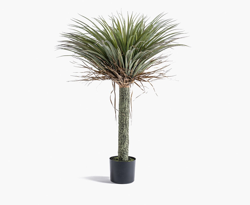 Yucca Plant 40X40X105CM ~ Green/Brown