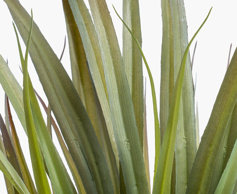 Yucca Plant 45X45X82CM ~ Green/Brown
