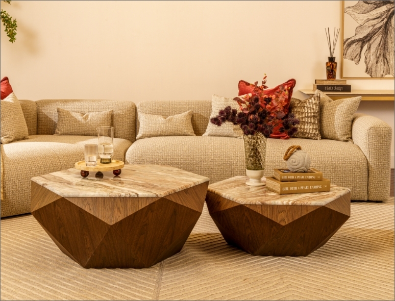 Elevate_Your_Living_Room